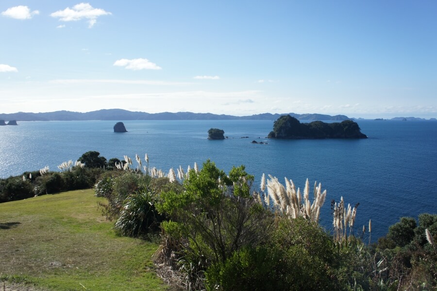 cathedral cove