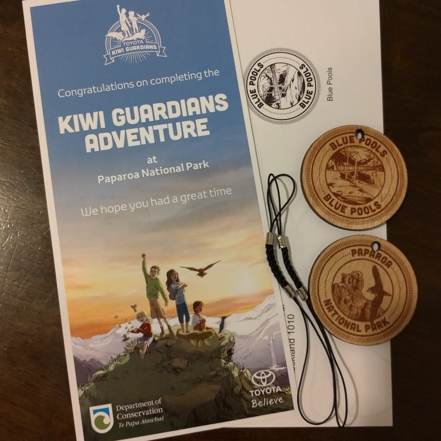 toyota kiwi guardians medal
